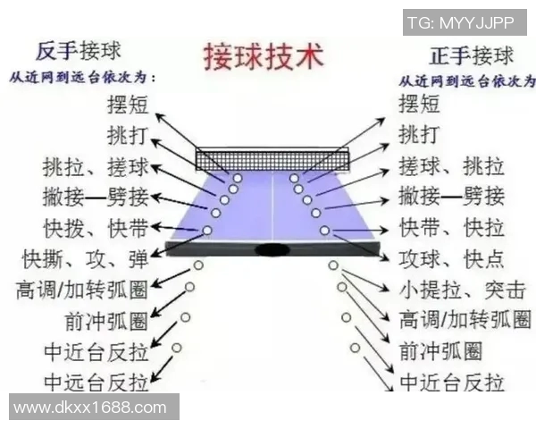 乒乓球运动的起源与发展历程及其在全球范围内的影响力分析