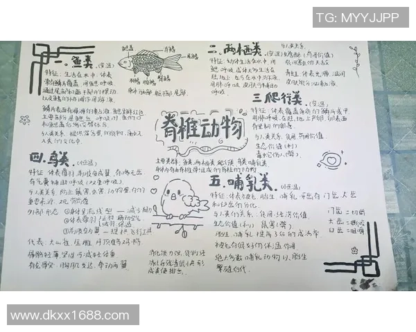 游泳比赛技巧与健身锻炼方法的全面解析与提升策略