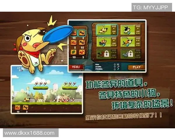成都飞盘队运营策略深度分析与成功经验分享