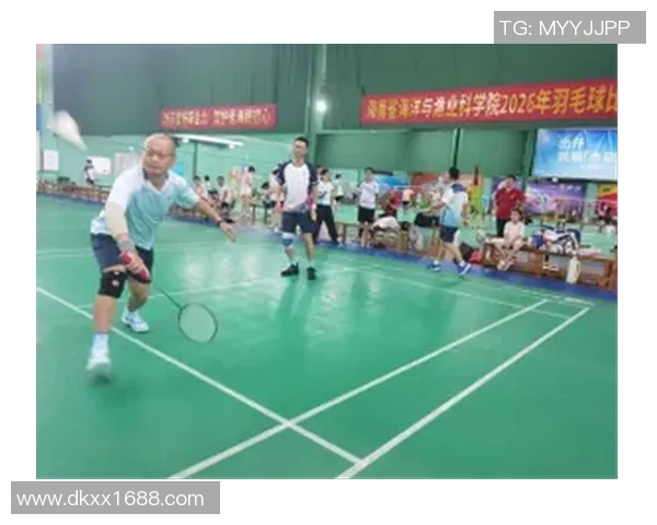 南京羽毛球队在城市联赛中的奋进之路与辉煌成就揭秘